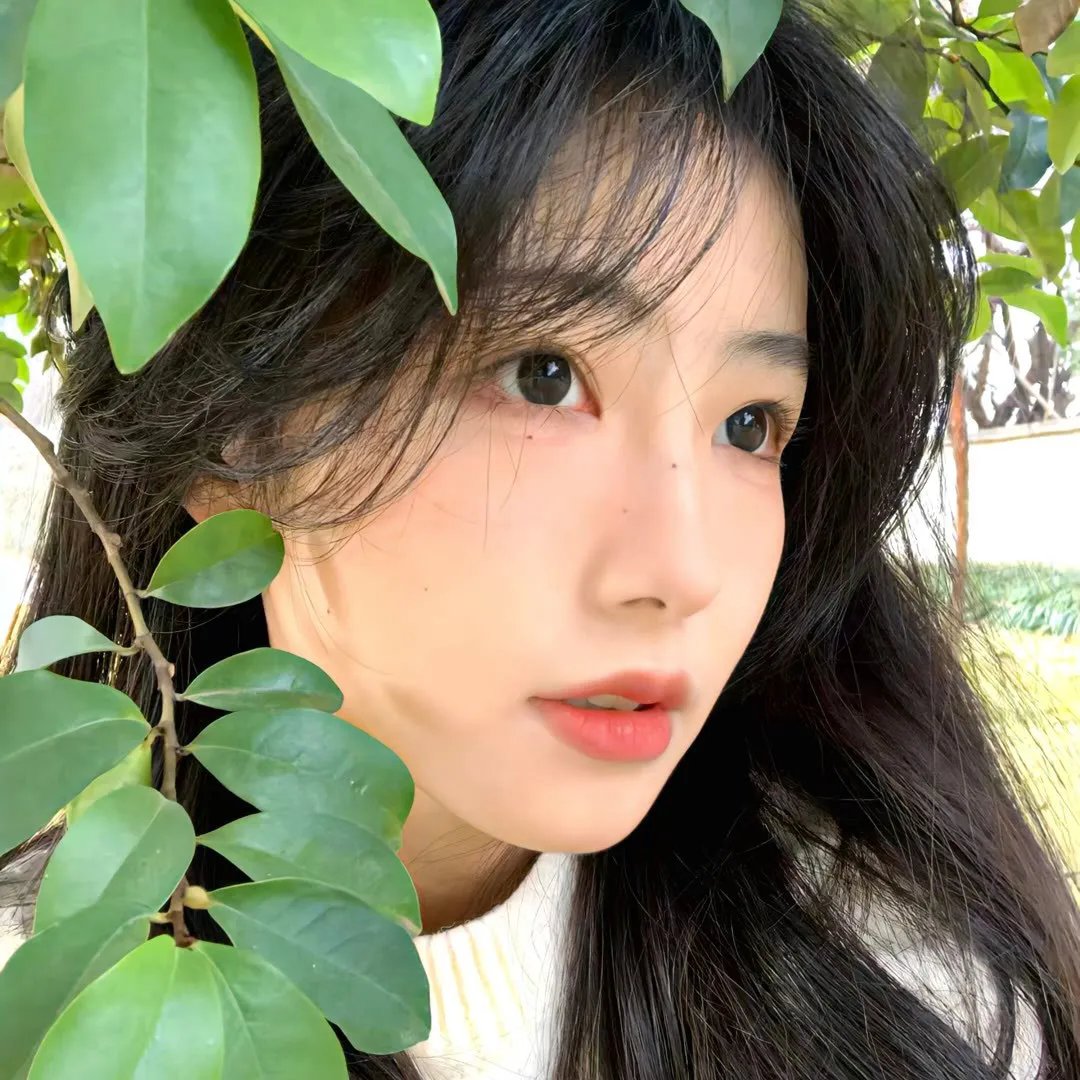 艺妓春情