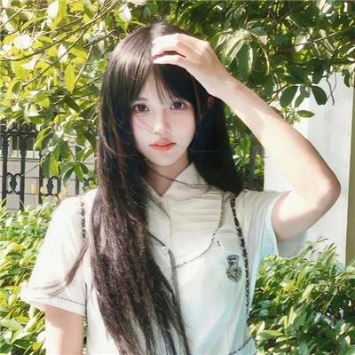 海葵